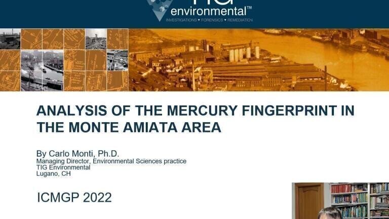 Analysis of the mercury fingerprint in the Monte Amiata area